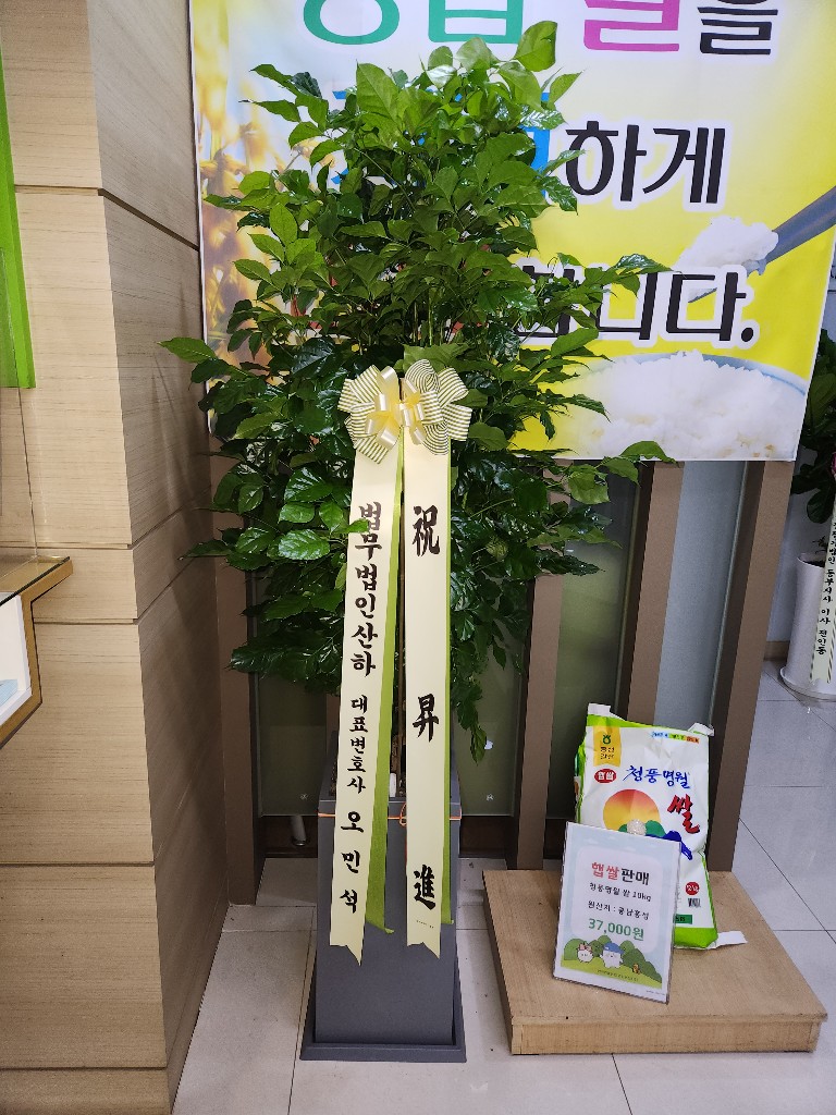 업로드 이미지