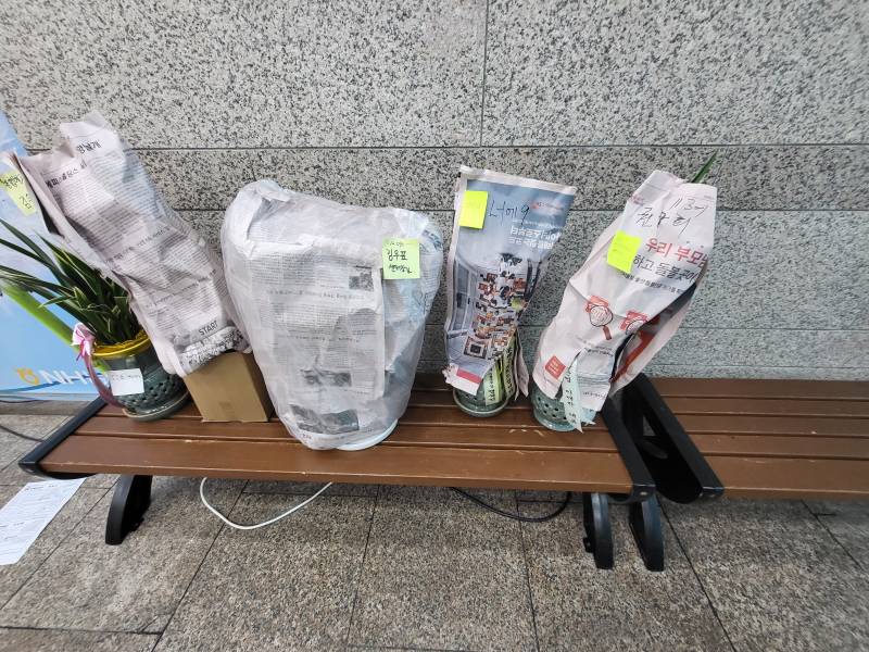 업로드 이미지