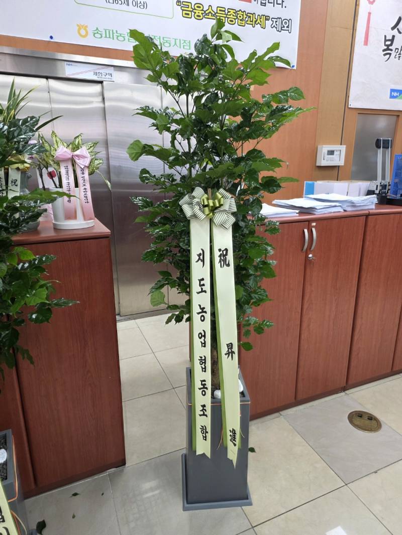 업로드 이미지