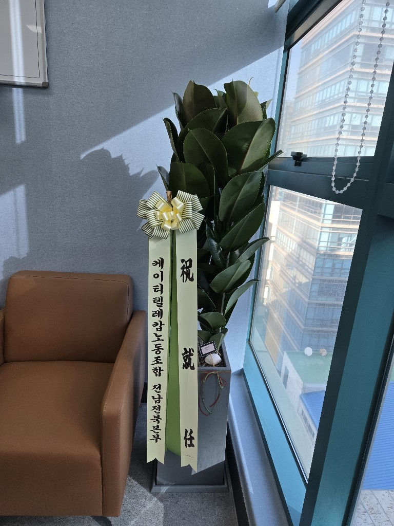 업로드 이미지