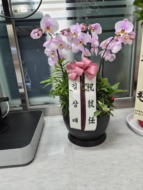 업로드 이미지
