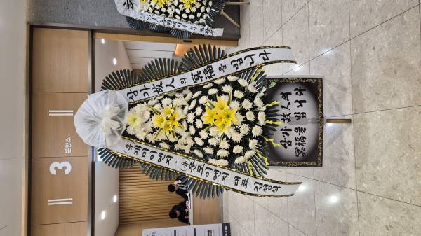 업로드 이미지