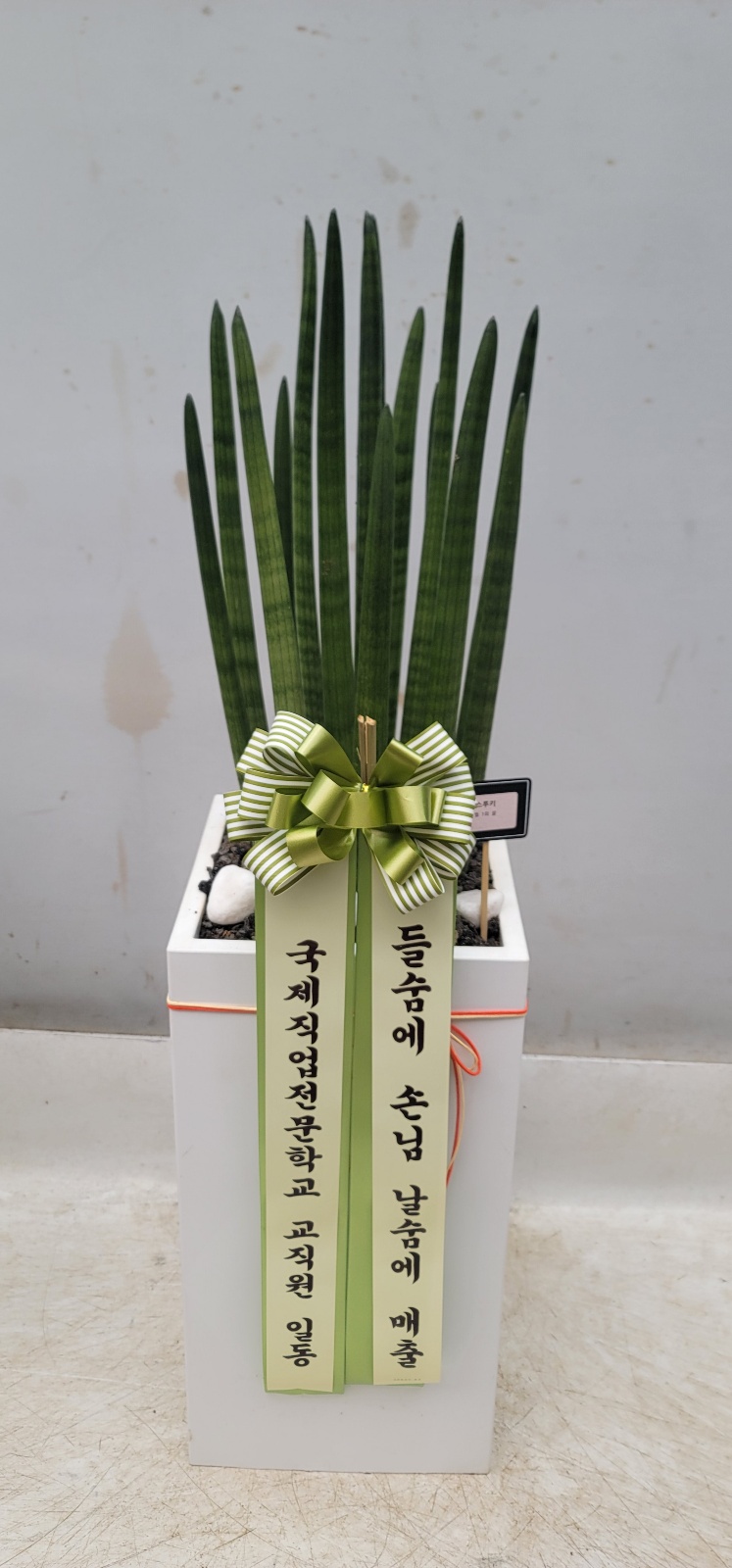 업로드 이미지