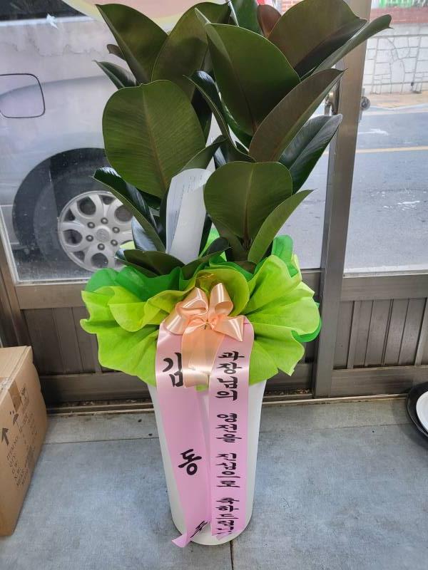 업로드 이미지