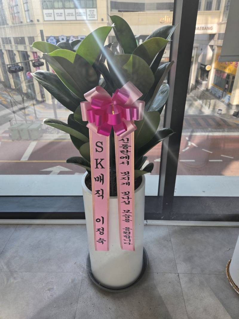 업로드 이미지