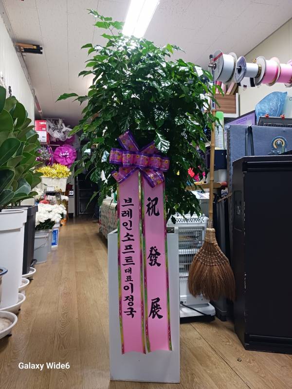 업로드 이미지