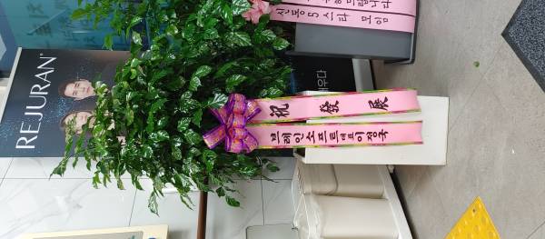 업로드 이미지