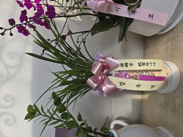 업로드 이미지
