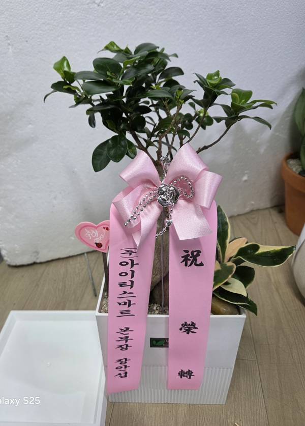 업로드 이미지
