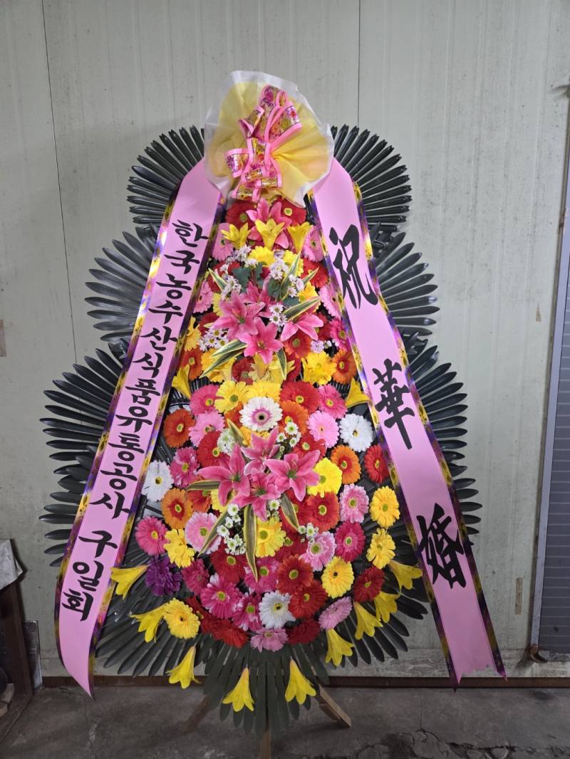 업로드 이미지
