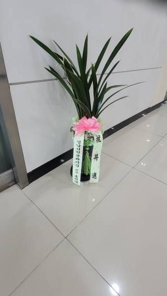 업로드 이미지