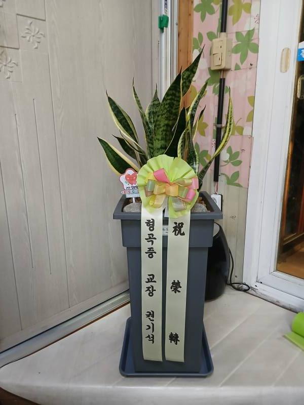 업로드 이미지