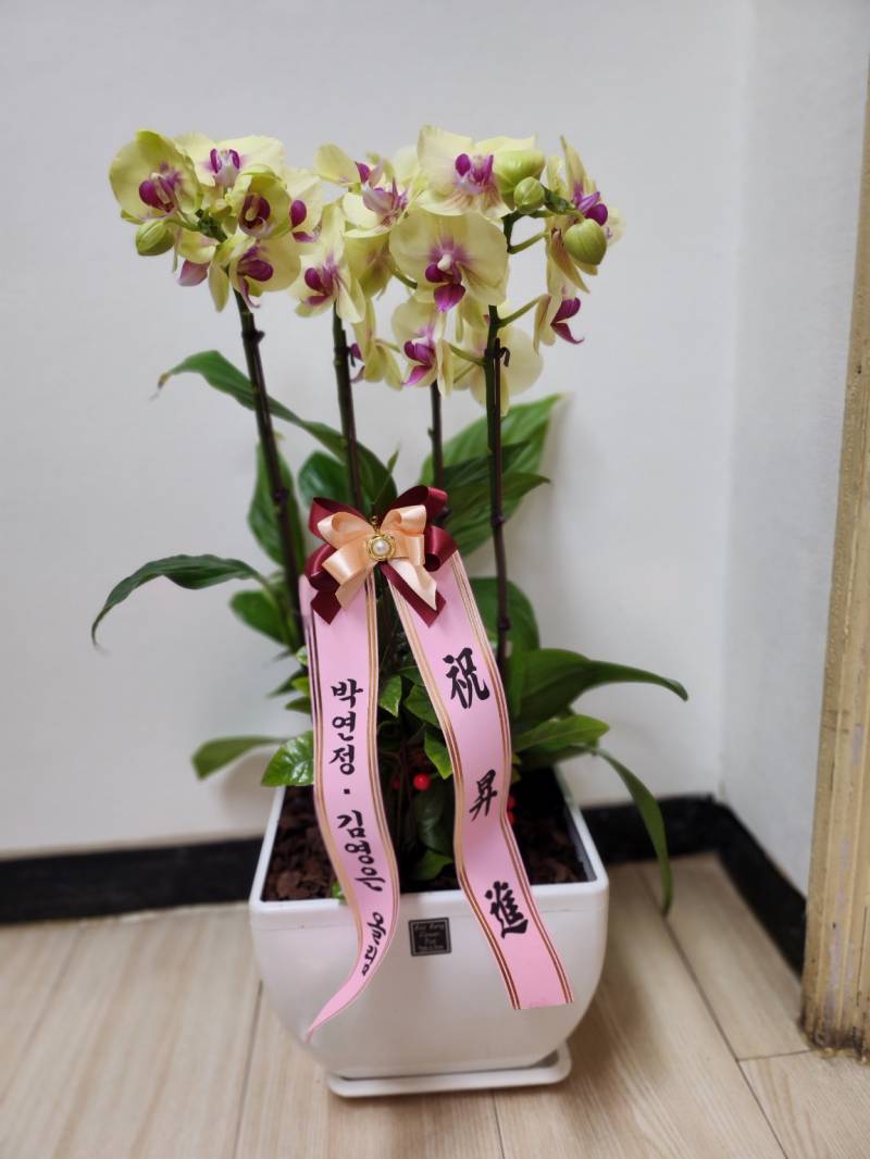업로드 이미지