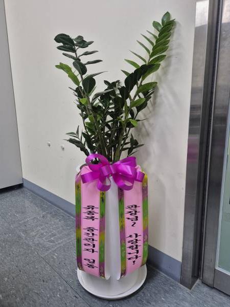 업로드 이미지
