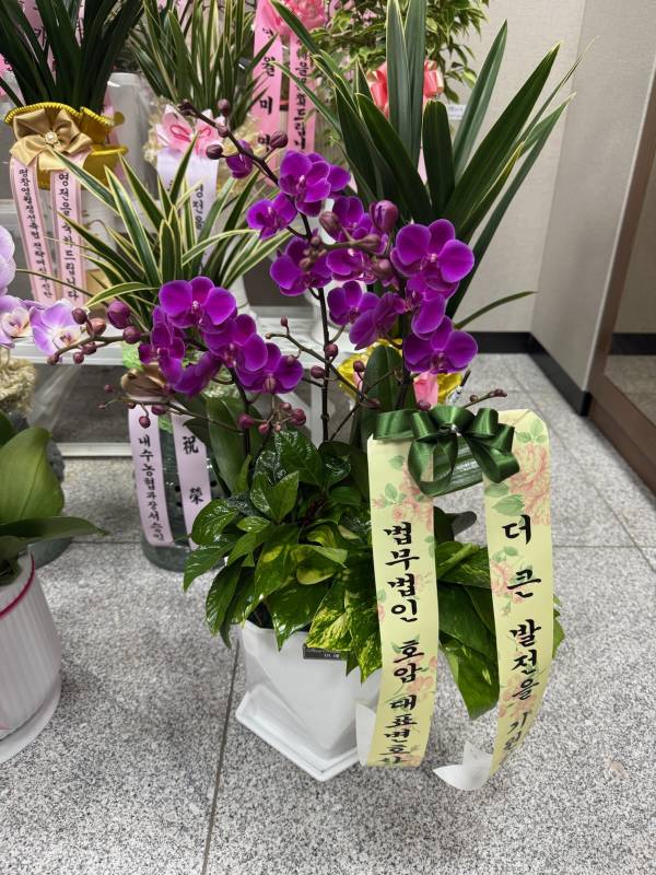 업로드 이미지