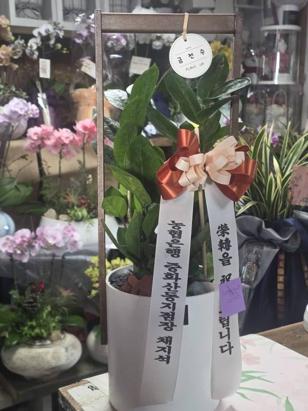 업로드 이미지