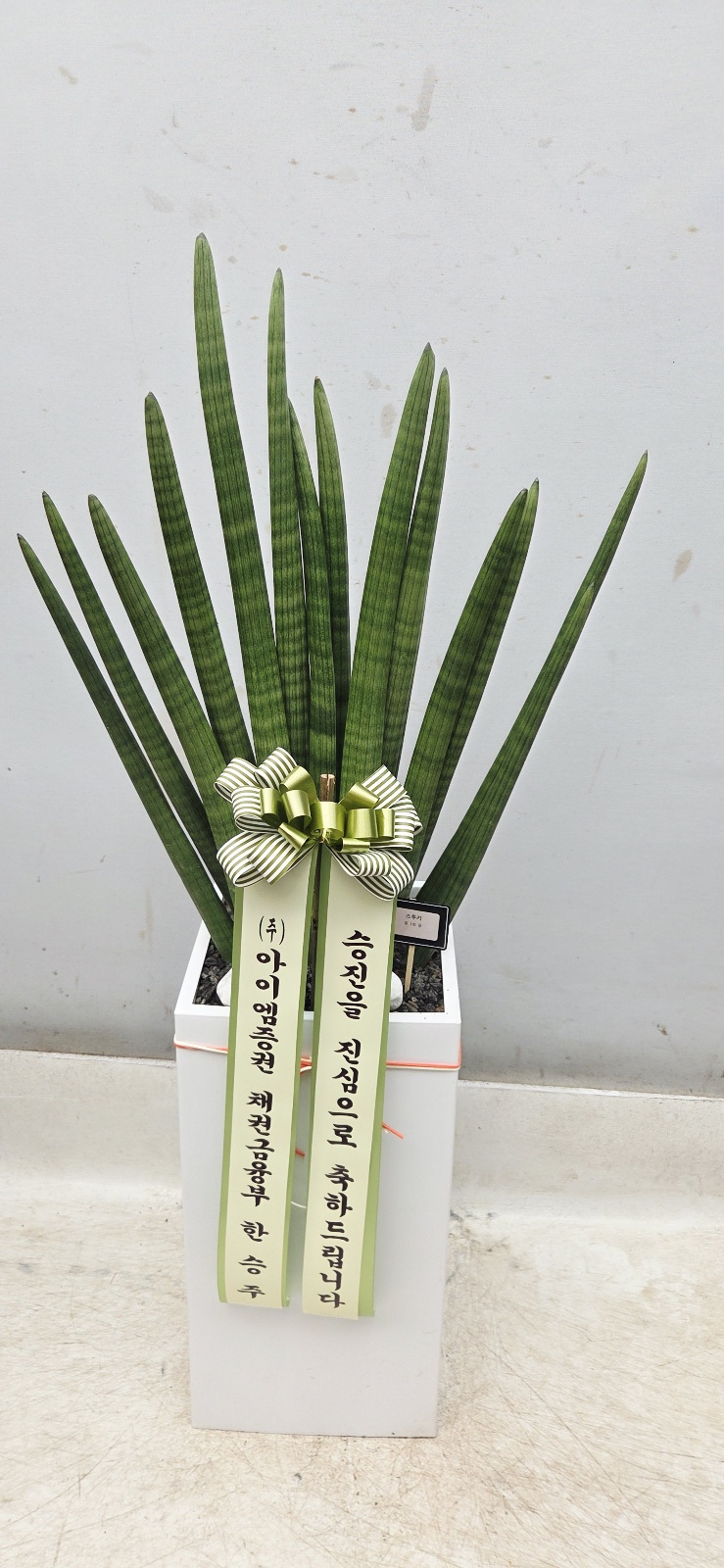 업로드 이미지