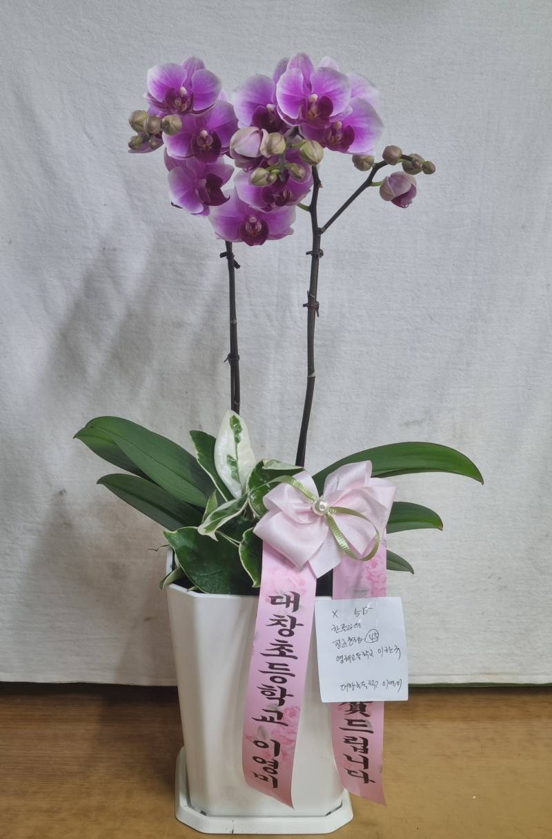 업로드 이미지