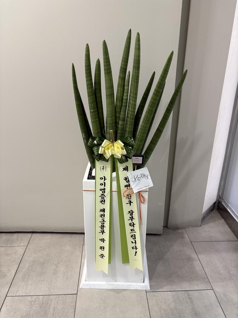 업로드 이미지