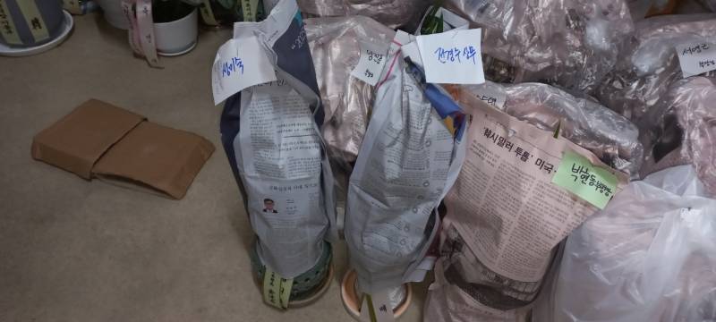 업로드 이미지