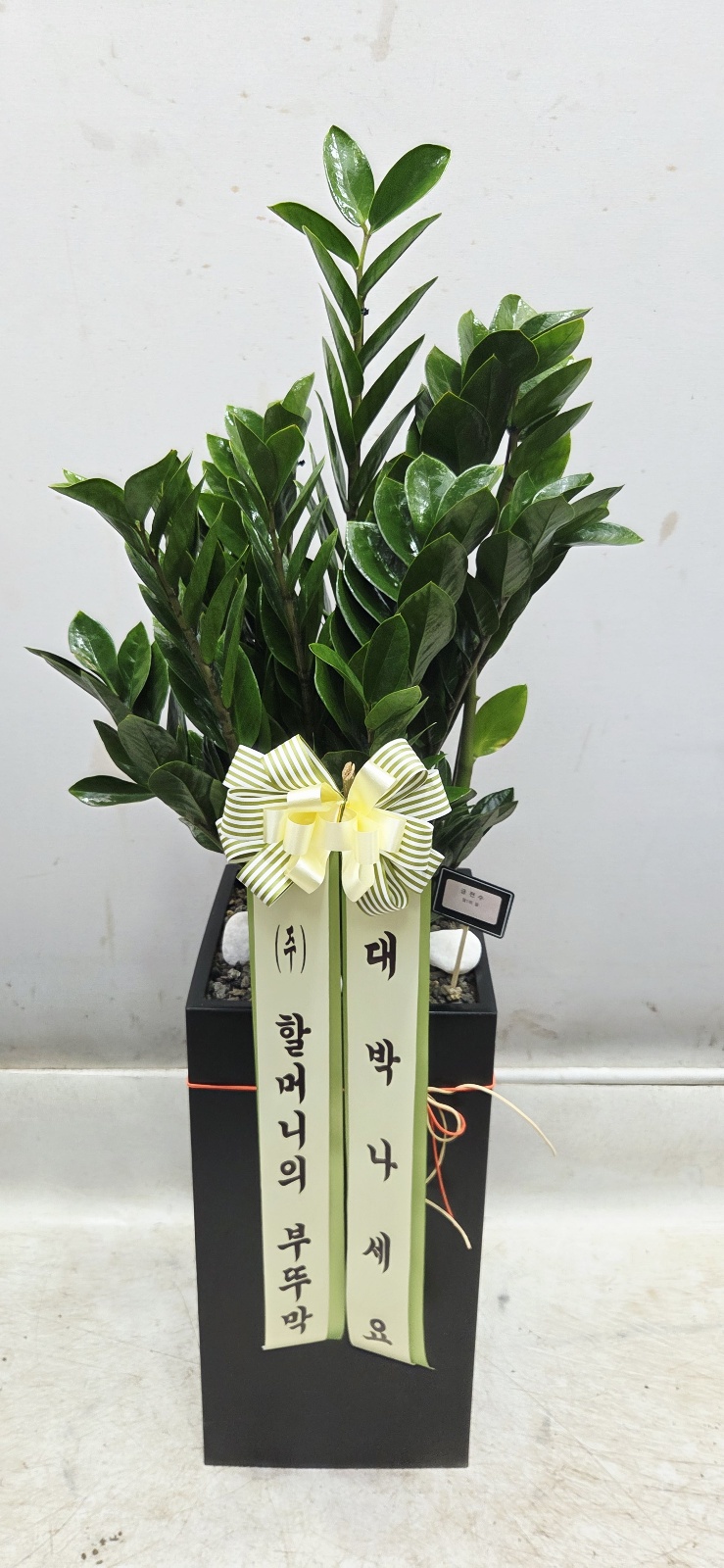 업로드 이미지