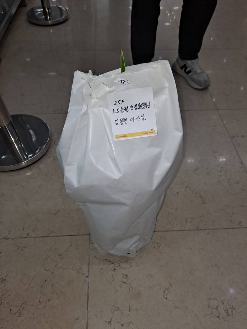 업로드 이미지