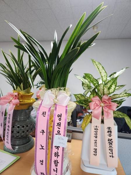 업로드 이미지