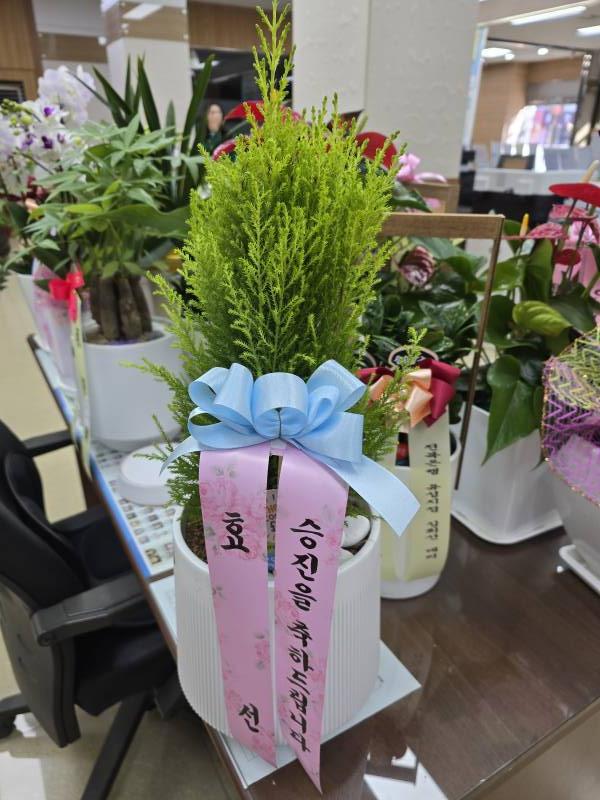 업로드 이미지
