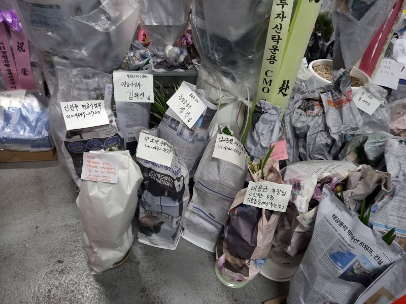 업로드 이미지