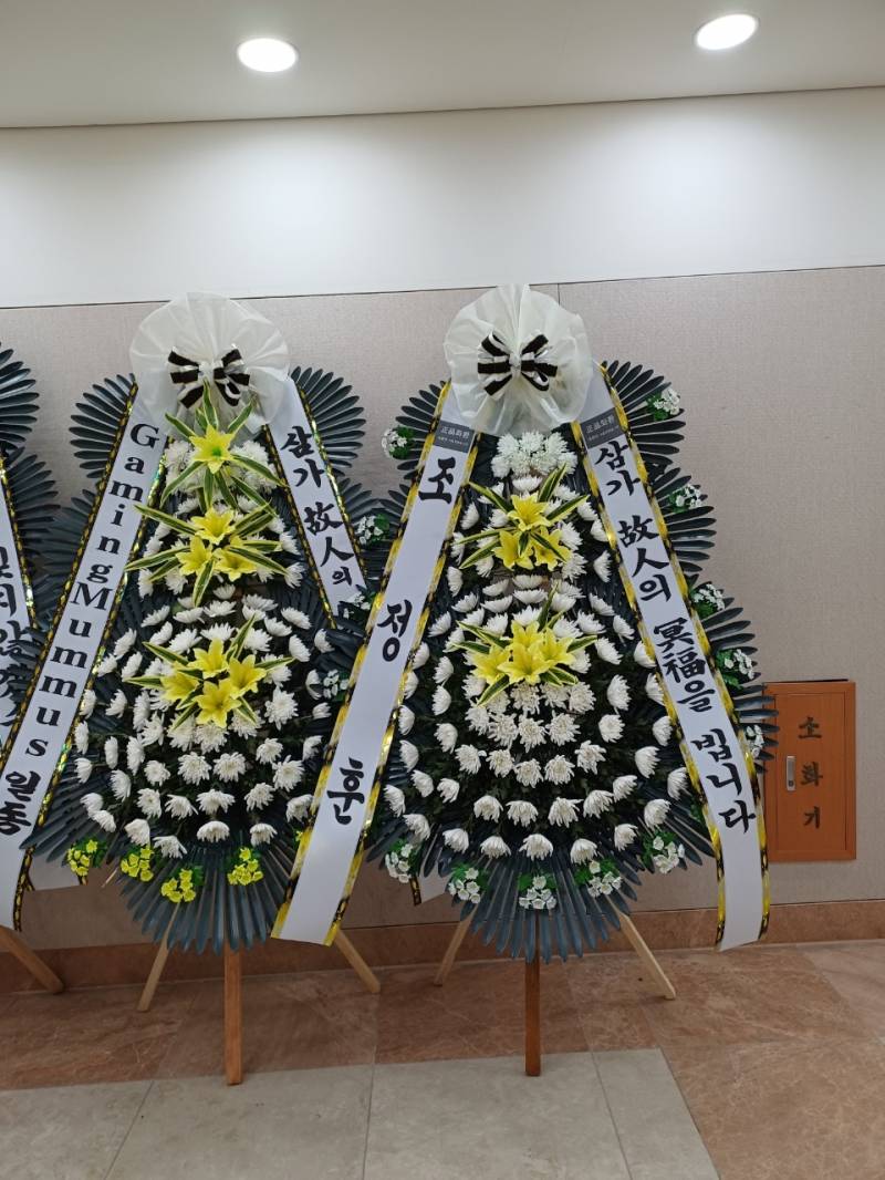 업로드 이미지