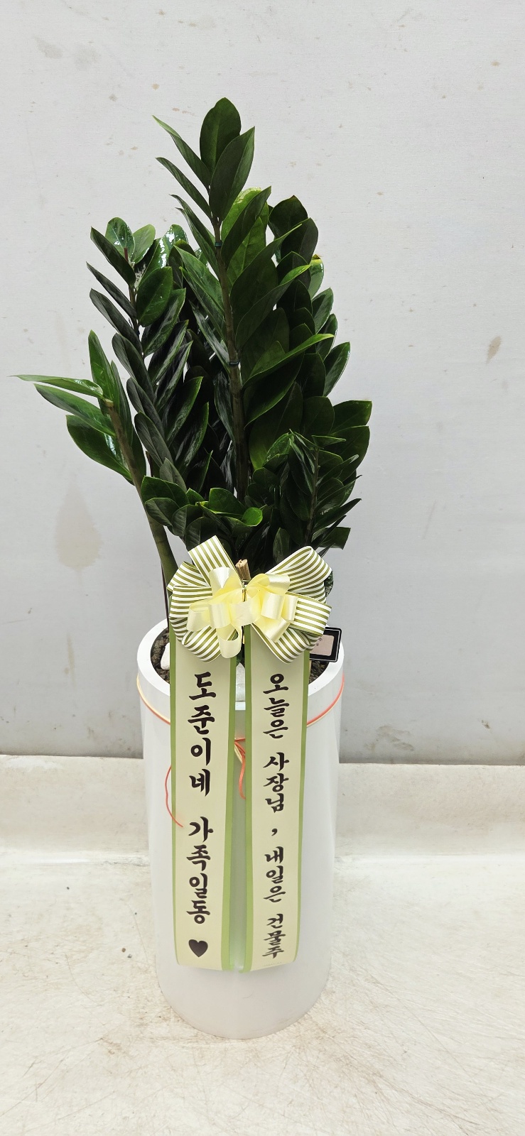 업로드 이미지
