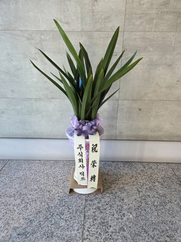 업로드 이미지