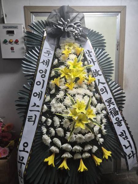 업로드 이미지