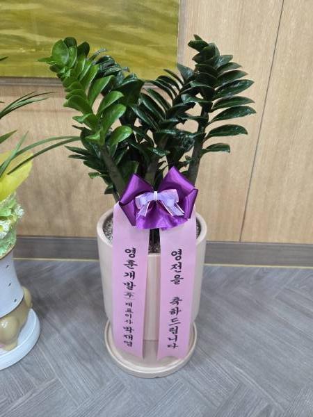 업로드 이미지