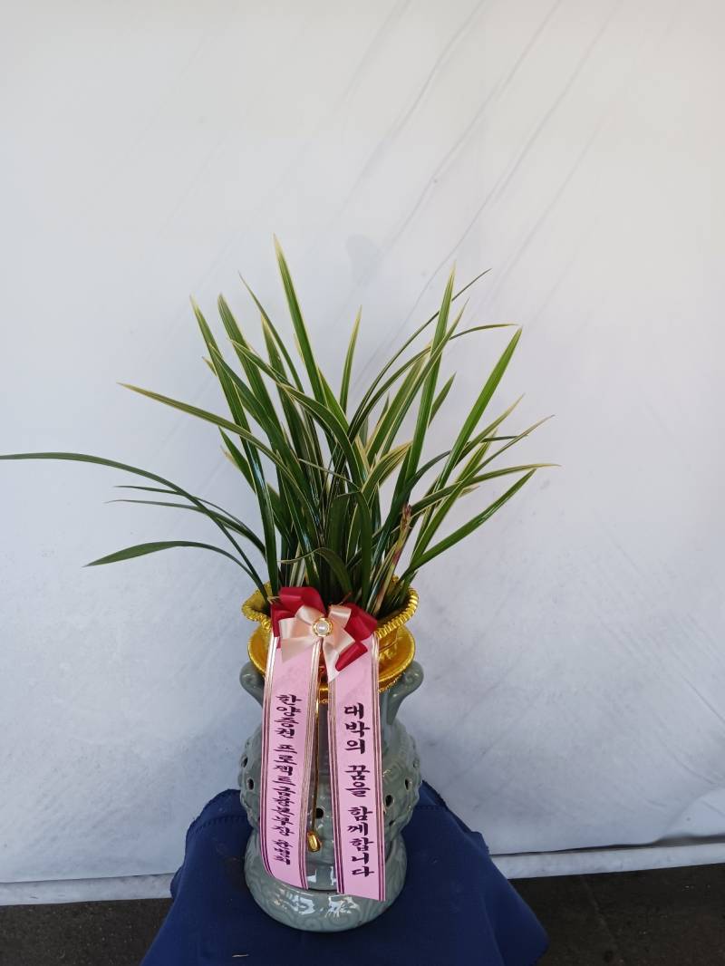 업로드 이미지