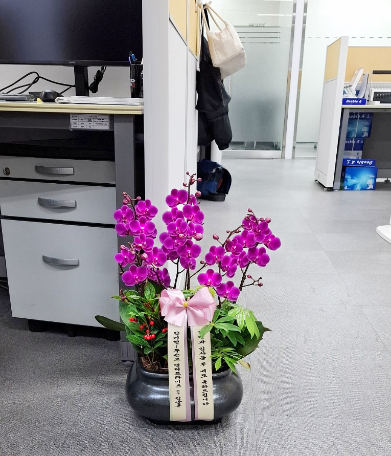 배송사진