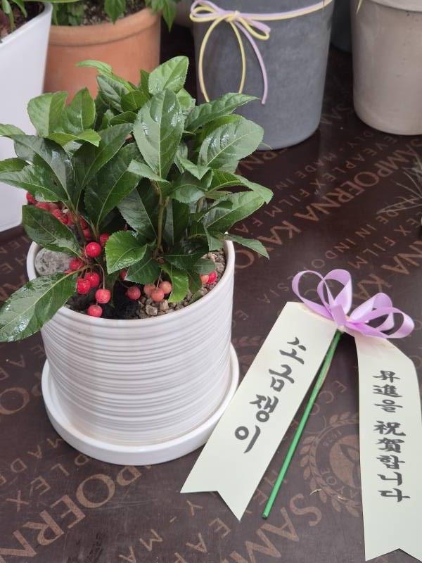 업로드 이미지