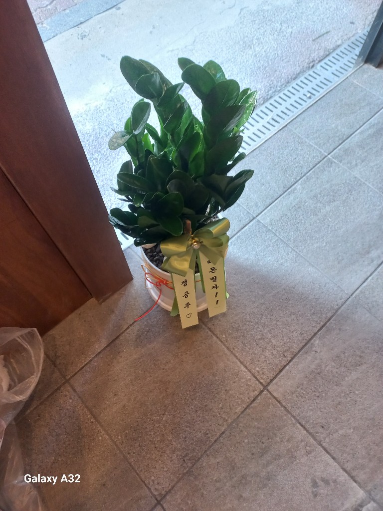 업로드 이미지