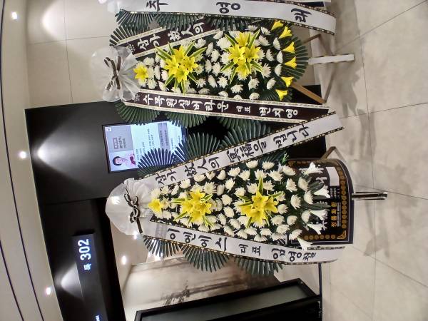 업로드 이미지