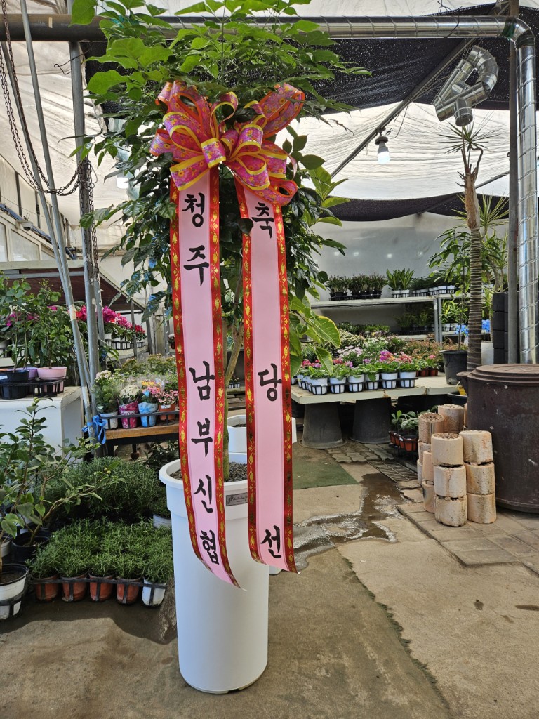 업로드 이미지