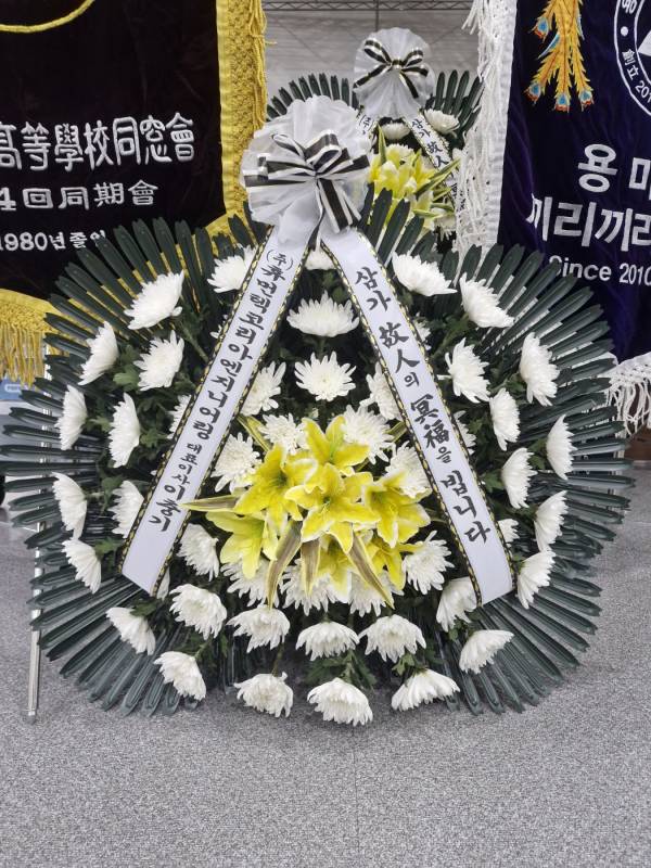 업로드 이미지