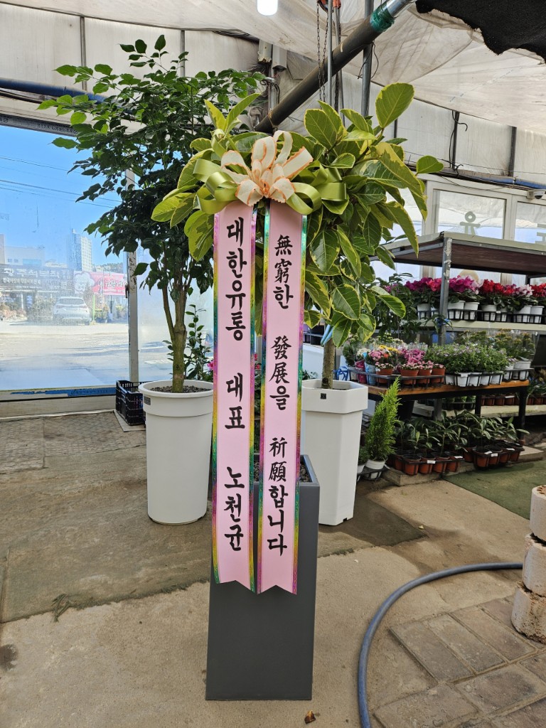 업로드 이미지