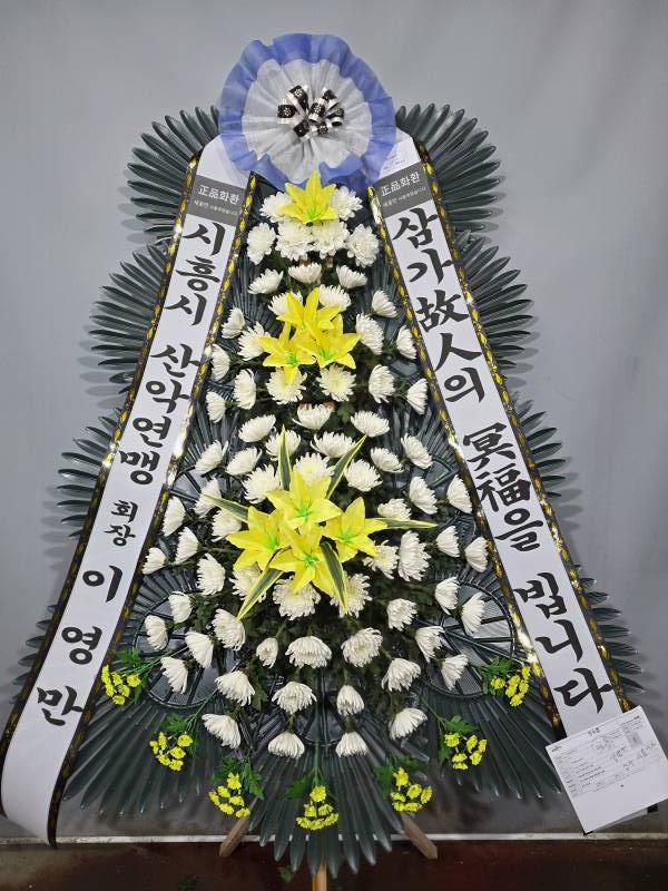 업로드 이미지