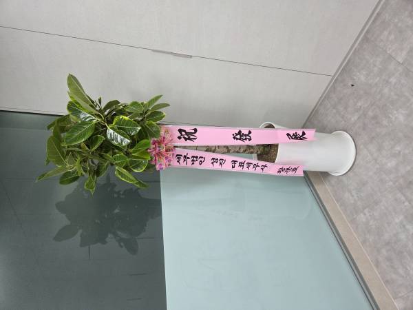 업로드 이미지