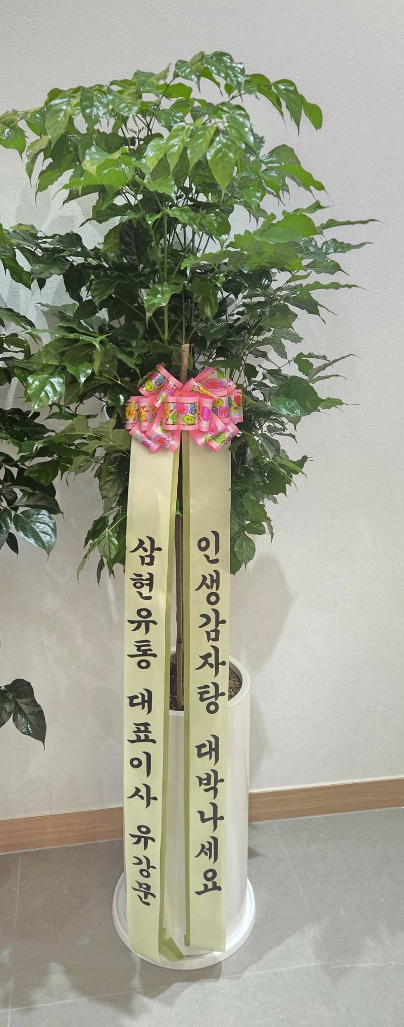 업로드 이미지