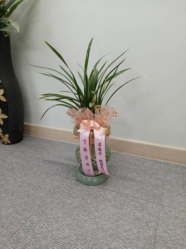 업로드 이미지