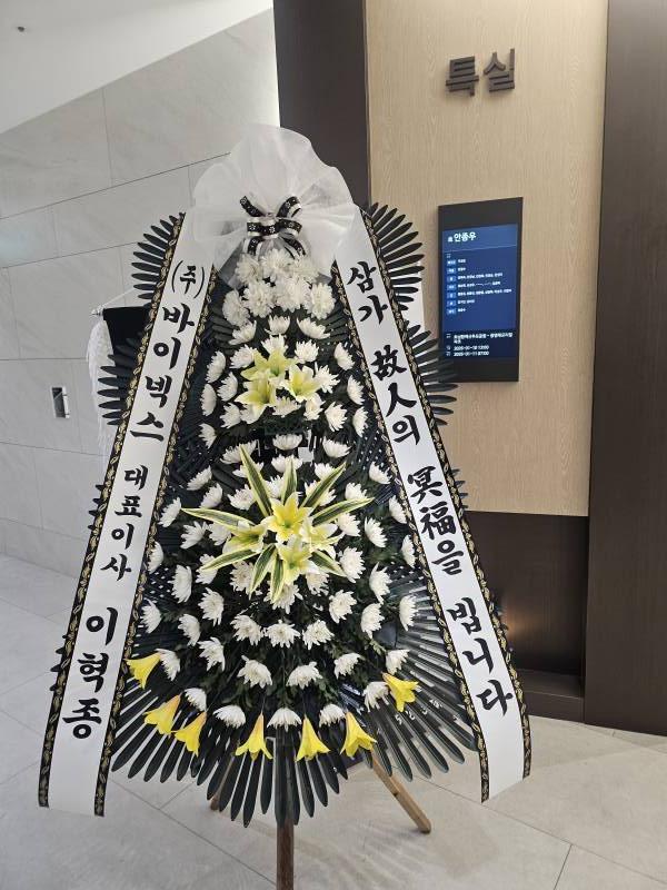 업로드 이미지