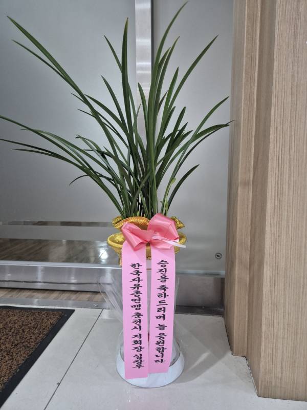 업로드 이미지