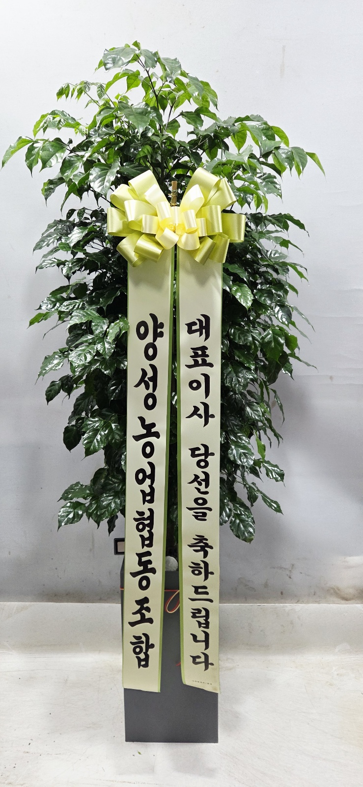 업로드 이미지