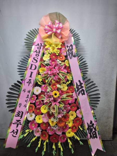 업로드 이미지